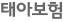 태아보험